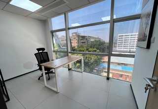 云南紫魔芋种子什么时候播种