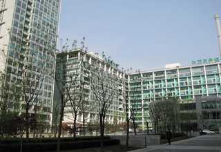 连云港pet塑料刷丝价格是多少