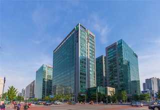 云南老班章普洱茶厂家批发