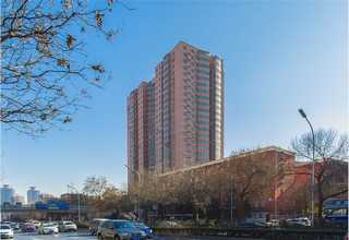 西藏汽油清净剂批发商